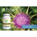 Priority One Vitamins Milk Thistle/Silymarin 80% 120 Vegetarian Capsules - High Potency clinically dosed Supporting Healthy Liver Function.* - Buy Online on GoSupps.com