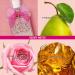 Viva La Juicy Rose 3.4 Fl Oz - Buy Online on GoSupps.com
