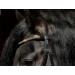 Havanna Bridle Brown Glitter Nose & Browband | Tysons VB WB XF XXF Coldblood | Very Large X-Full - Buy Online on GoSupps.com