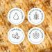 Triscuit Garlic & Onion Poppy Seed Crackers 8oz (Pack of 6) | Non-GMO, Savory Snack Option - Buy Online on GoSupps.com