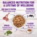 Wellness Natural Pet Food - 5 lbs. Lamb & Barley Dry Dog Food - Buy Online on GoSupps.com