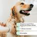 Jack & the Tub Dog Shampoo Mild Mint 500 ml - Nourishing Dog Shampoo with Conditioner & Refreshing Mint Scent for All Breeds | International Shipping - Buy Online on GoSupps.com