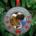 In Loving Memory Pet Ornament - Dog Memorial Christmas Photo Ornament - Cat Sympathy Gift - Buy Online on GoSupps.com