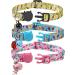 BoomBone Cat Collar Breakaway 3 Pack with Bell and Cute Animal Pendants - Bee, Flamingo, Beetle | Spring Kitten Collar Set - Buy Online on GoSupps.com