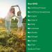 Nature's Bounty Co Q-10 Twin Pack 200 mg - 80 Rapid Release Softgels - Heart Health Support - Buy Online on GoSupps.com