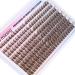 Buy Brown Lash Clusters Fluffy Eyelash Extensions 192pcs Wispy Cat Eye Lashes Left & Right Individual Lashes | International Shipping Available - Buy Online on GoSupps.com