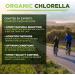 MySuperfoods Organic Chlorella Powder - Natural Protein Source (200g) - Buy Online on GoSupps.com