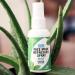 Nature's Fusions Mint Face Mask Sanitizer Spray 2 Oz - Deodorizer & Linen Spray (4 Pack) - Kid-Safe Essential Oil Room Spray - Buy Online on GoSupps.com