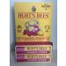 Burt's Bees Strawberry Lemonade Lip Balm - 2 Tubes (0.15 oz) | Natural Moisturizing Lip Care - Buy Online on GoSupps.com