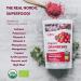 Organic Wild Nordic Forests Freeze Dried Cranberry Powder - 6 Oz | Raw & Sugar-Free | 35-Day Supply - Buy Online on GoSupps.com
