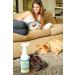 Chewfix Bitter Spray 8oz - No-Stain Pet Anti Chew Repellent for Cat & Dog Training - Stop Chewing with 365 Day Guarantee - Buy Online on GoSupps.com