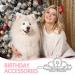 MTLEE 2-Piece Crystal Rhinestone Dog Tiara Crown Hair Clips - Pet Grooming Accessories (Silver) - Buy Online on GoSupps.com