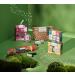 The Body Shop Foam & Merriment Shower Gel Trio Mini Gift Vegan shower gel 3-Piece Set - Buy Online on GoSupps.com