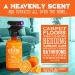 ANGRY ORANGE Pet Odor Eliminator - Citrus Deodorizer for Dog & Cat Urine on Carpets, Furniture & Floors - Buy Online on GoSupps.com