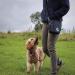 Pet Impact Eco-Friendly Dog Treat Pouch for Convenient Dog Walking - Essential Training and Wanderlust - Buy Online on GoSupps.com