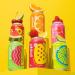 POPPI Sparkling Prebiotic Soda w/ Gut Health & Immunity Benefits  Beverages w/ Apple Cider Vinegar  Seltzer Water & Fruit Juice  Low Calorie & Low Sugar Drinks  Fun Favs Variety Pack  12oz (12 Pack) (Packaging & Flavors May Vary) (Variety) Fun Favorites 1 - Buy Online on GoSupps.com