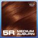 Clairol Nice'n Easy Cr me Oil-Infused Hair Dye 5R Medium Auburn - 1 Count - Buy Online on GoSupps.com