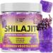 5 elementum Shilajit Original Shilajit Rubbers 2200mg - Premium Quality Shilajit Rubber with Lion's Mane Reishi Chaga & Cordyceps - Himalayan Shilajit for Energy & Energy