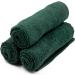 Linteum Textile 12-Piece Face Towel Set 12x12 Inch - 100% Soft Cotton Washcloths - Absorbent & Durable - Hunter Green - Buy Online on GoSupps.com
