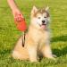 Buy Ferplast Flippy One Dog Leash - Roller Leash for Small Dogs up to 12kg | 4.5m Retractable Cord | Easy Lock & Unlock Button | International Shipping - Buy Online on GoSupps.com