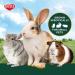 Kaytee Timothy Wafer-Cut Hay for Rabbits & Small Animals - 3.75 Pound Pack - Buy Online on GoSupps.com