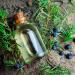 Forest Magic Organic Essential Oils Set - Scotch Pine, Juniper, Silver Fir | 100% Pure & Natural, Therapeutic Grade | Family-Owned Farm | Non-GMO | 3 x 10 ml - Buy Online on GoSupps.com