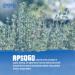Dried Organic Greek Thyme - Premium Quality 200g | Apsogo Thyme for Cooking and Tea - Buy Online on GoSupps.com