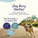 Kin+Kind Raw BerryBoost Superfood for Urinary Health - 4 oz (113.4 g) - Buy Online on GoSupps.com