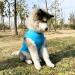 Soft & Breathable Dog Hoodie - Winter Coat for Large Dogs with Hat Bags & Linen Hole | Kickred Light Blue - Buy Online on GoSupps.com
