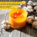 96NORTH Luxury Palo Santo Candle | 3-Wick Jar | Up to 50 Hours Burn Time | 100% Soy Wax | Aromatherapy Candle Gift - Buy Online on GoSupps.com