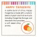 Little Twig Bath Time Bubbles Gift Set - Unscented/Lavender/Tangerine - 2.18 Pound - Buy Online on GoSupps.com