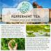 Peppermint Herbal Loose Leaf Tea - 100g of Pure Mint Leaves for Refreshing Tea - Buy Online on GoSupps.com