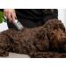 Masterclip Dog Clippers for Cockapoo Cavapoo Cavachon Labradoodle & Poodle. Mains Powered Dog Clippers with #10 & 3mm 6mm 10mm 13mm Comb Guides - Buy Online on GoSupps.com