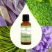 Buy Plant Therapy Respir Aid Essential Oil Blend 30 mL - 100% Pure & Natural Aromatherapy for Therapeutic Relief - Buy Online on GoSupps.com