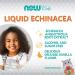 Now Foods Kids Liquid Echinacea - Immune Support, Orange Flavor, 2 fl oz - Buy Online on GoSupps.com