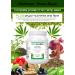 VitaHemp+ Power Blend Workout Drink |Vegan Hemp Seed Protein Shake Powder with Phyto-nutrients Essential Amino Acids Vitamin C & Fibre. Appetite Suppressant Reduces Bloating & Flatulence - Buy Online on GoSupps.com