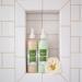 Pistach Skincare Pistachio Oil Shampoo - Deep Moisturizing Hydrating & Nourishing Paraben & Sulphate Free Rich Biscotti Scent 12 oz - Buy Online on GoSupps.com