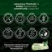 FITO MEDIC'S Lab Stinging Nettle Root 180 Capsules - 1000mg Pure Extract - Ortiga Supplement - Buy Online on GoSupps.com
