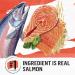 Beyond Simply Natural Dry Cat Food Salmon & Whole Brown Rice - 2.72 kg Bag 2.72 kg (Pack of 1) - Buy Online on GoSupps.com