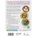 Carbs & Cals Gestational Diabetes: 100 Recipes Designed by Diabetes Specialist Dietitians - Buy Online on GoSupps.com