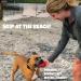 Skip NN' Fetch Small/Medium Floating Dog Toys Qty 2 | Stone Skipping Meets Fetch | Fun for Swimming Pool Lake Beach and Land | Perfect Floating Water Toys for Small/Medium Dogs | S/M - Buy Online on GoSupps.com