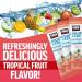 Force Factor Liquid Labs Electrolytes Powder Packets Tropical Fruit Hydration Packets to Make Electrolyte Water with 5 Essential Electrolytes Vitamins Minerals and Antioxidants 20 Stick Packs Liquid Labs Base Tropical  - Buy Online on GoSupps.com