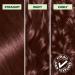 Garnier Nutrisse Ultra Cr me Permanent Hair Dye 100% Grey Coverage Vegan Formula Nourished Hair Long-Lasting Rich Colour 45 Dark Mahogany Brown 1 Application Packaging May Vary BROWN SHADES 45 Dark Mahogany Brown - Buy Online on GoSupps.com