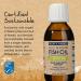 Wild Alaskan Fish Oil Summit DHA - Natural Lime Flavor, 4.23 fl oz | Wileyâ€™s Finest - Buy Online on GoSupps.com