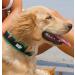 Black Rhino Comfort Collar - Super Soft Neoprene Padded Dog Collar for All Breeds | Adjustable Reflective Weatherproof - Large Green/Black XL - Buy Online on GoSupps.com