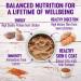 Wellness Complete Health Natural Wet Dog Food - Chicken & Sweet Potato (12.5 oz, Pack of 12) - Buy Online on GoSupps.com