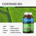 Chanca Piedra Capsules - 1600mg Stone Breaker for Kidney & Gallbladder Cleanse - Vegan Stone Dissolver Supplement - 100 Pills - Buy Online on GoSupps.com
