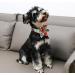 Unique Style Paws Flower Dog Collar | Colorful Adjustable Cotton Collar for Boys & Girls | Metal Buckle | Medium Size for Dogs - Orange & Pink Flowers - Buy Online on GoSupps.com