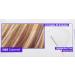 L'Oreal Paris Frost and Design Caramel Hair Highlighting Kit - 1 Count - Buy Online on GoSupps.com