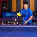 Champion Sports PN5 All-Plastic Table Tennis Racket - Assorted Colors - Buy Online on GoSupps.com